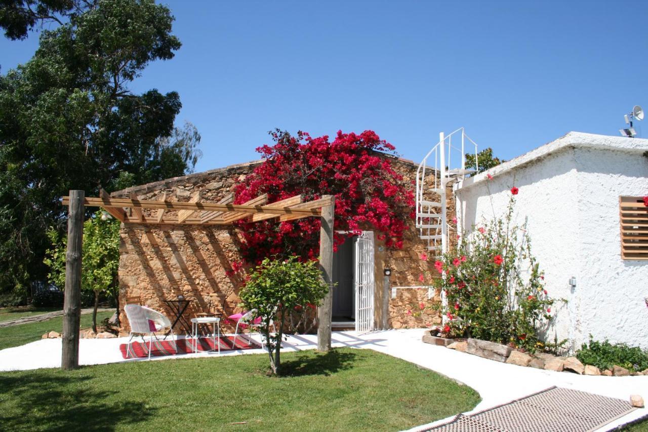 Le Rondini Bed and Breakfast Montrás Buitenkant foto