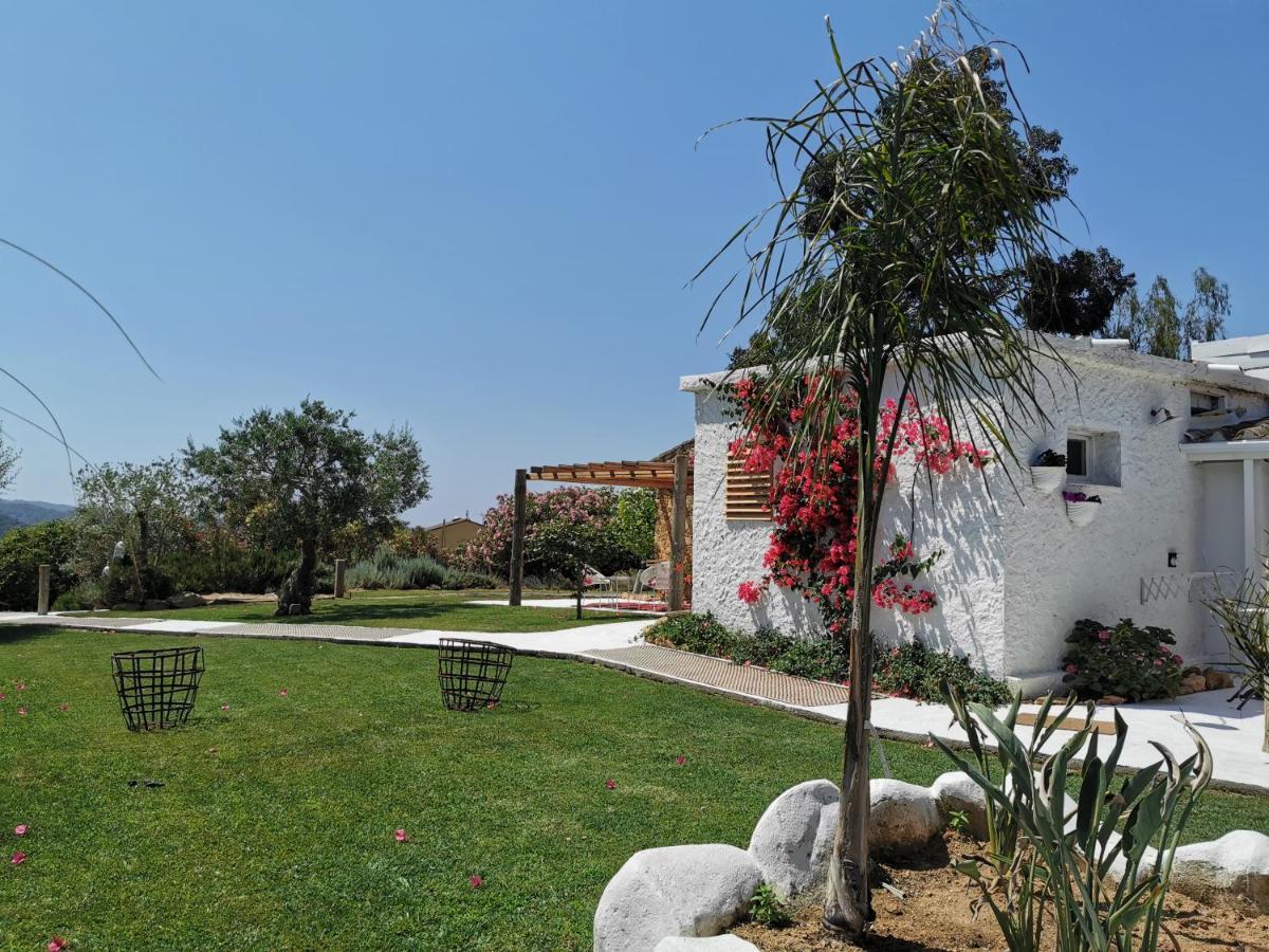 Le Rondini Bed and Breakfast Montrás Buitenkant foto