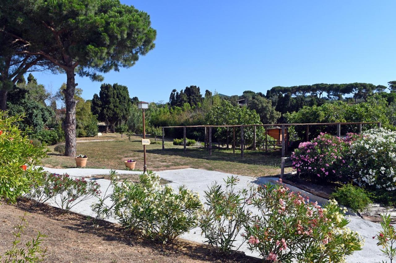 Le Rondini Bed and Breakfast Montrás Buitenkant foto