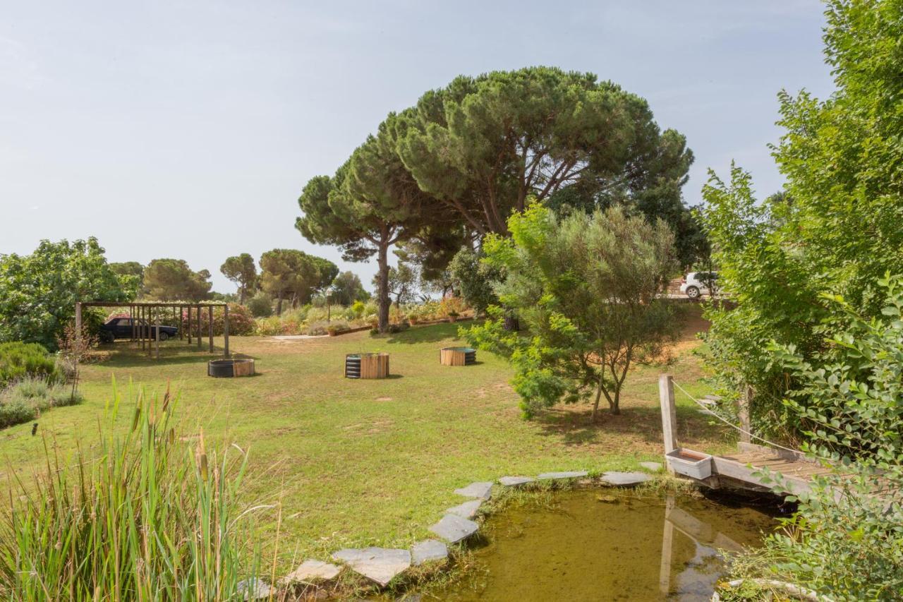 Le Rondini Bed and Breakfast Montrás Buitenkant foto